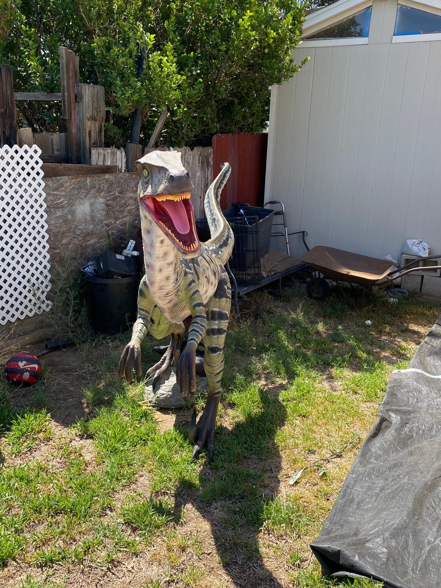 Velociraptor Delta Dinosaur - Custom Prop Rentals