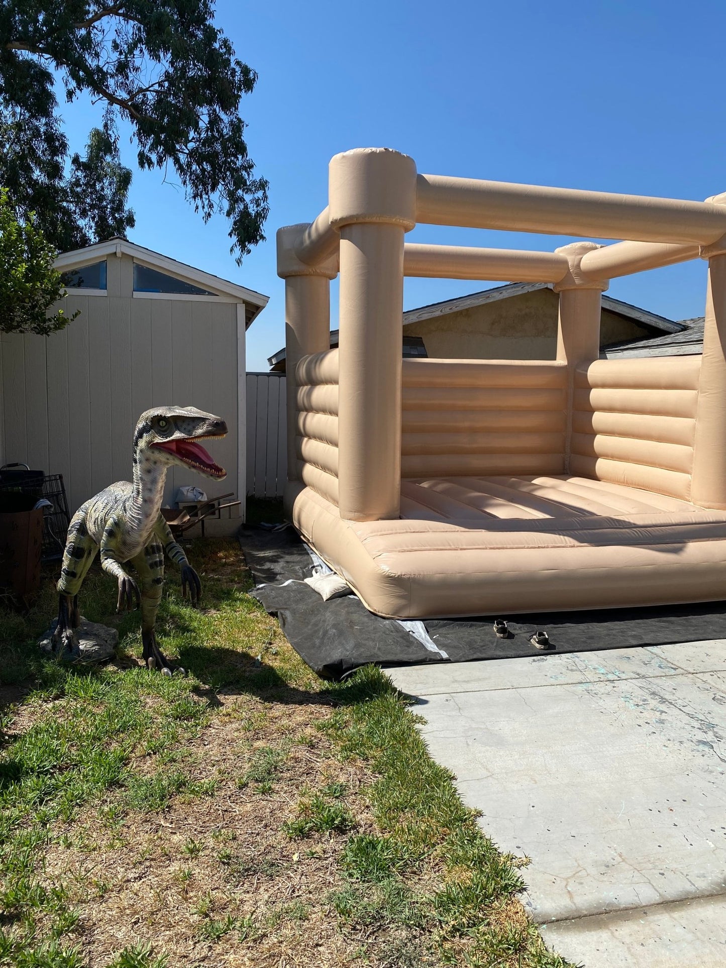 Velociraptor Delta Dinosaur - Custom Prop Rentals
