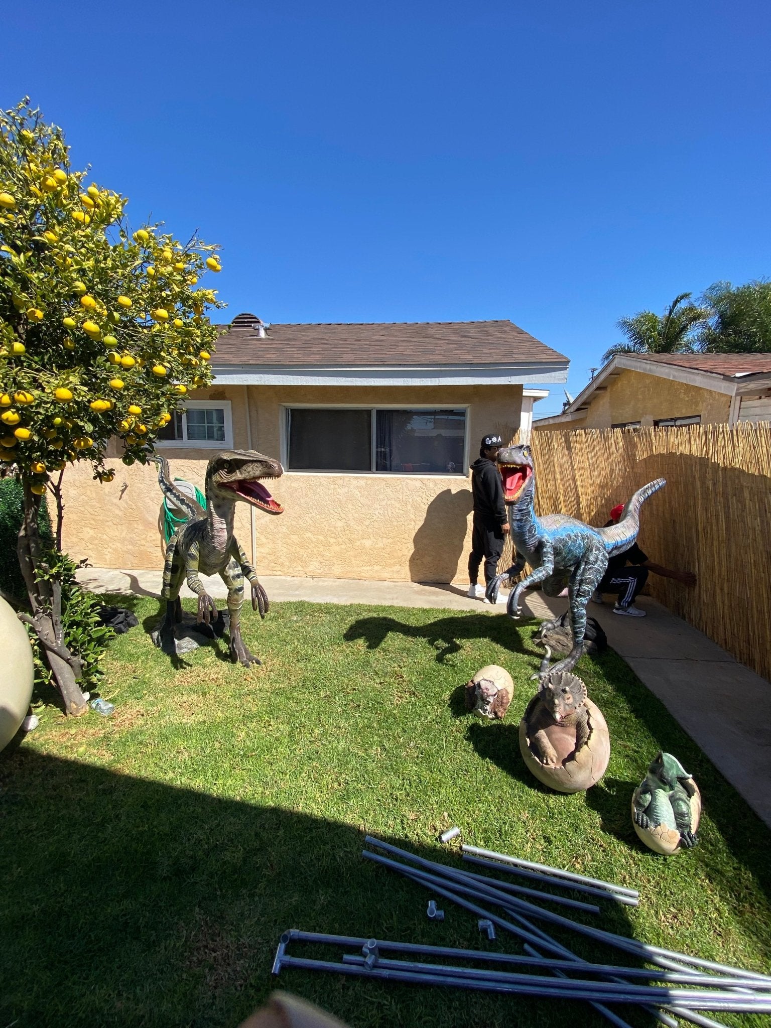 Velociraptor Delta Dinosaur - Custom Prop Rentals