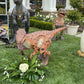 Velociraptor Dinosaur - Custom Prop Rentals
