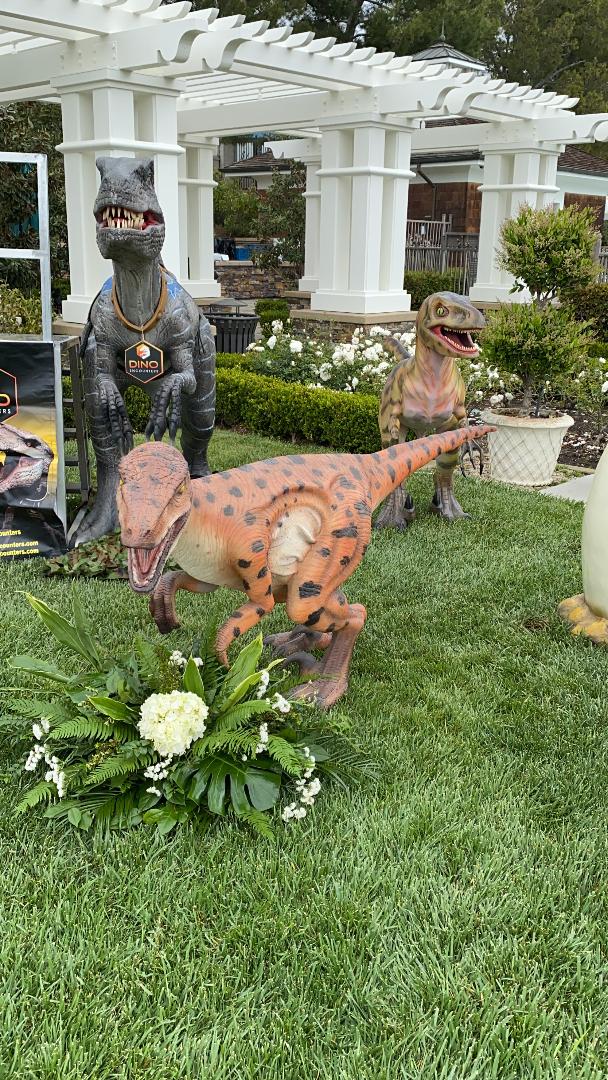 Velociraptor Dinosaur - Custom Prop Rentals