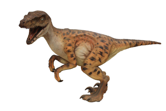 Velociraptor Dinosaur - Custom Prop Rentals