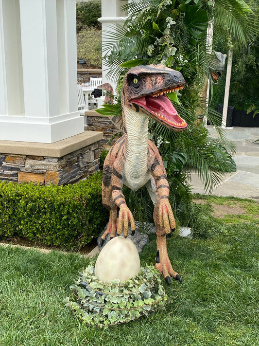Velociraptor (Echo) Brown/Orange Dinosaur - Custom Prop Rentals