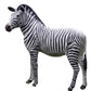 Zebra - Custom Prop Rentals