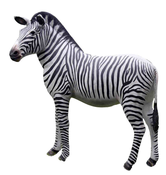 Zebra - Custom Prop Rentals