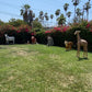 Zebra - Custom Prop Rentals